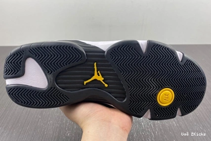 487471-407 14 Laney Retro Sophisticated Jordan  822 0731